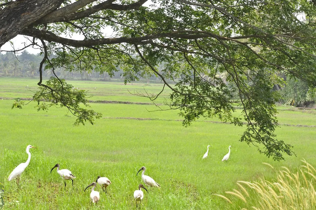 Marari Bethsaida Homestay Shertallai
