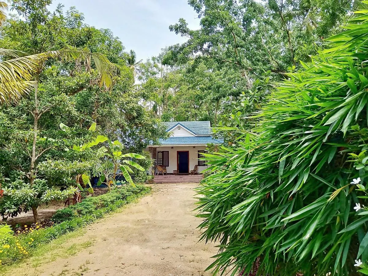 Marari Bethsaida Homestay Shertallai Indie